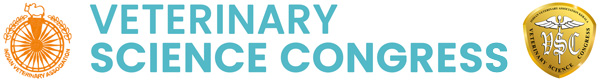 logo 11